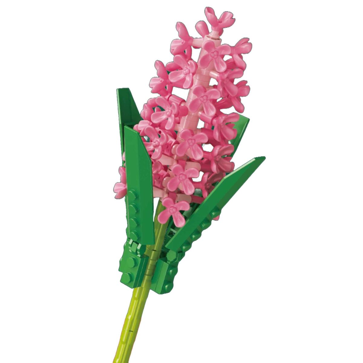 Sembo® 601282 Hyazinthe